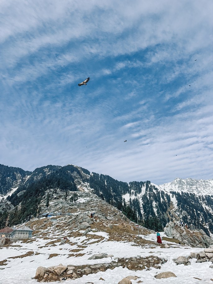 Snow Capped Himalayas with Mum